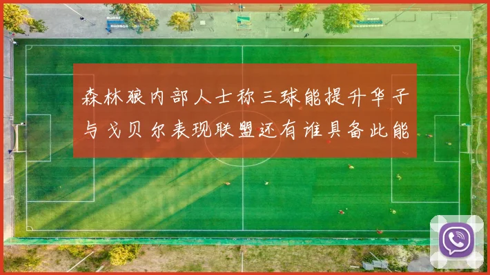森林狼内部人士称三球能提升华子与戈贝尔表现联盟还有谁具备此能力