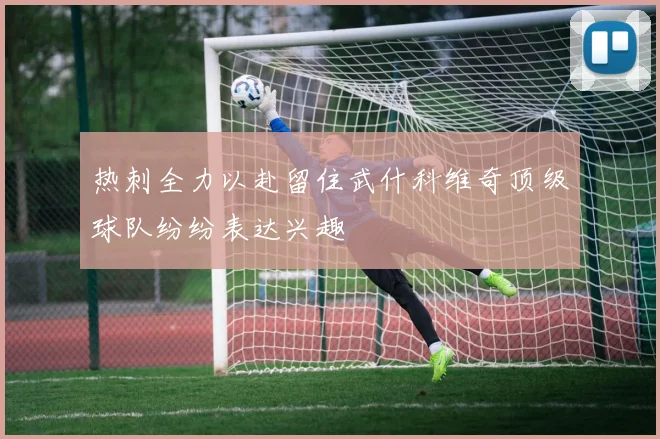 热刺全力以赴留住武什科维奇顶级球队纷纷表达兴趣