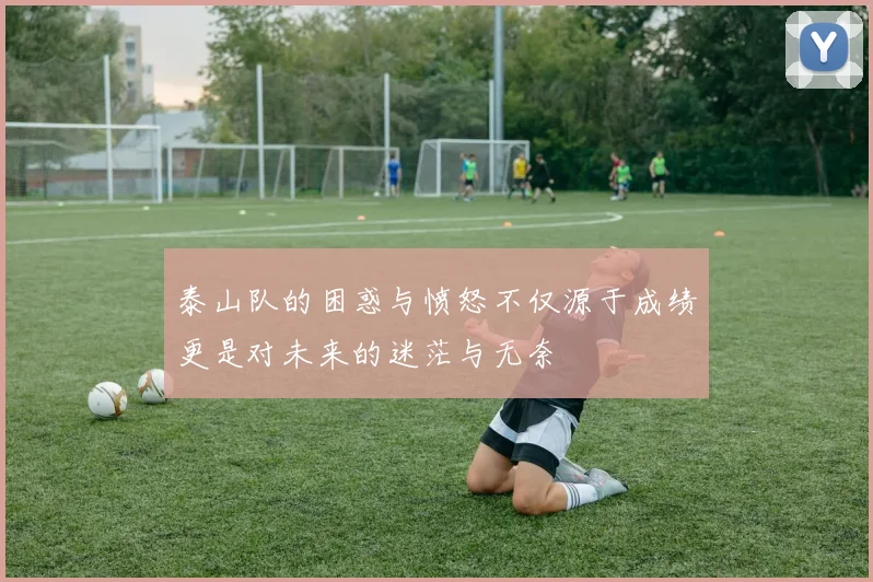 泰山队的困惑与愤怒不仅源于成绩更是对未来的迷茫与无奈