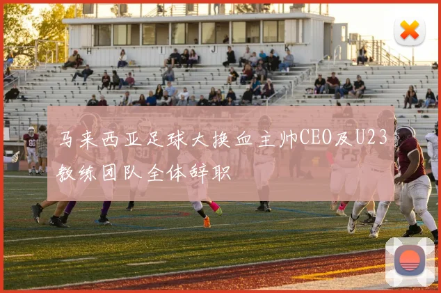 马来西亚足球大换血主帅CEO及U23教练团队全体辞职